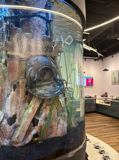 Shipwreck’d cannabis dispensary interior featuring shipwreck-themed aquarium centerpiece and coastal decor.