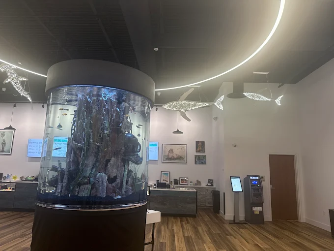 Modern dispensary interior featuring aquatic-themed decor, vibrant fish tank, and sleek product displays.